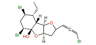 Hachijojimallene A